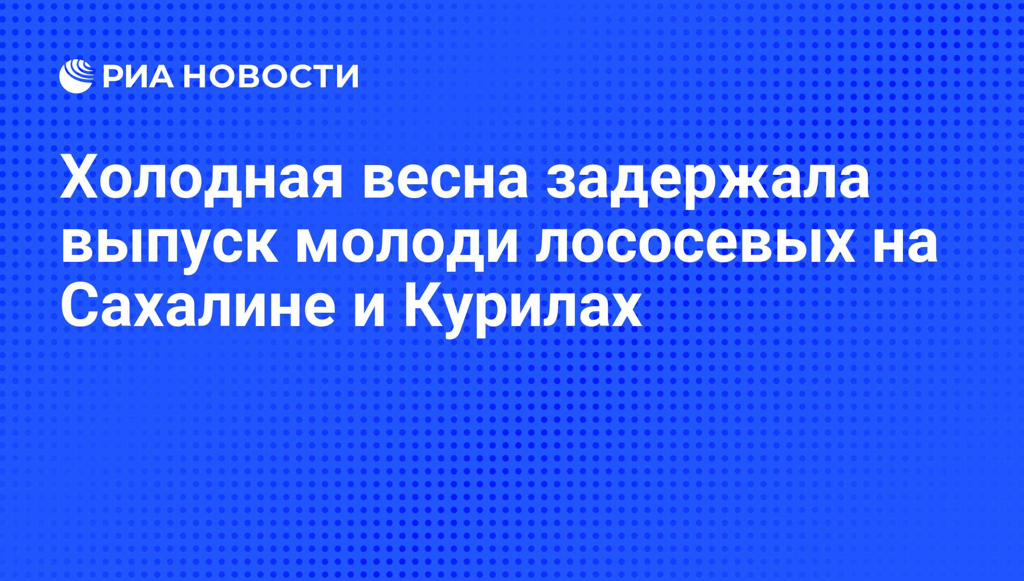 Адаптогены Сахалина И Курильских Островов Интернет Магазин