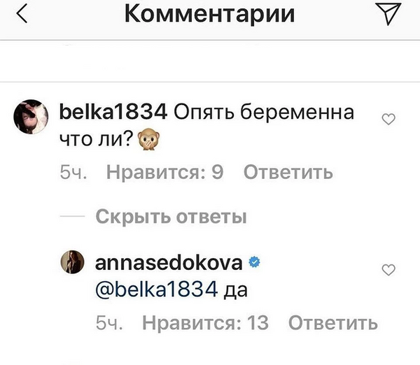 Комментарий Анны Седоковой под публикацией в Instagram Комментарий Анны Седоковой под публикацией в Instagram