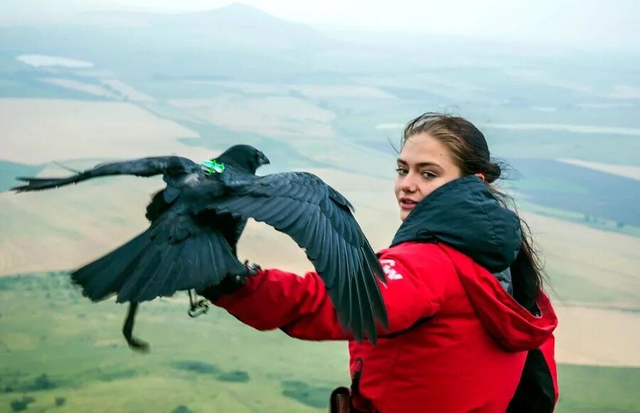 Маргарита Чайка Маргарита Чайка
