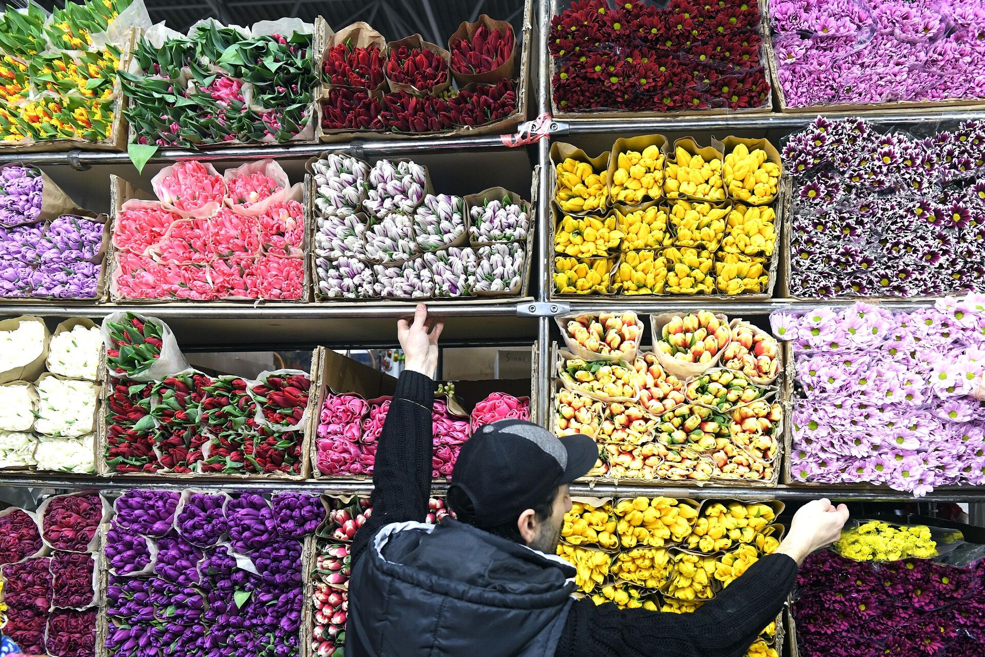 Как работает рижский рынок. Рижский рынок цветы. Рижская база цветов.