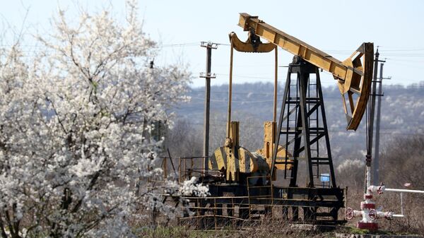 Нефтяной станок-качалка на Абино-Украинском нефтегазовом месторождении в Краснодарском крае Нефтяной станок-качалка на Абино-Украинском нефтегазовом месторождении в Краснодарском крае