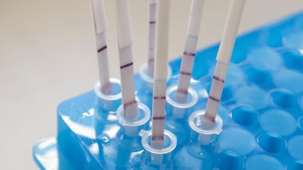 Германия ввела обязательные тесты на коронавирус при въезде в страну