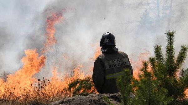В России за сутки ликвидировали 35 лесных пожаров