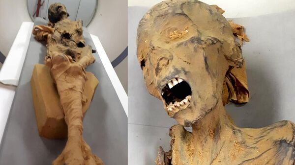 Ученые раскрыли тайну смерти "кричащей мумии" из Египта
