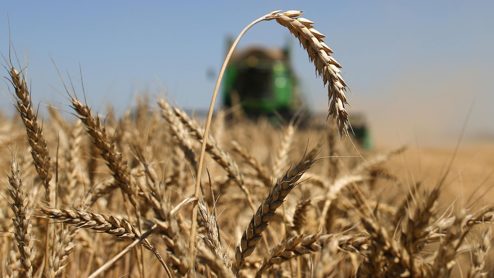 Аграрии Ленинградской области собрали рекордный урожай зерновых