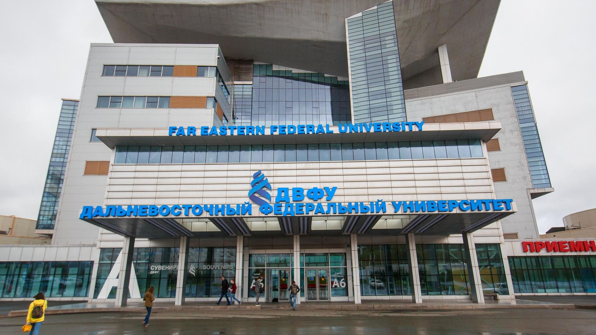 Во Владивостоке начнут научно-исследовательские работы по чипированию