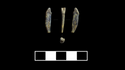 Зубы неандертальцев, найденные в Чагырской пещере