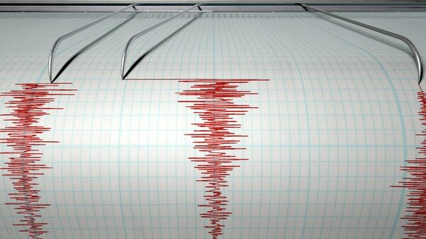 У побережья Камчатки произошло землетрясение магнитудой 4,0