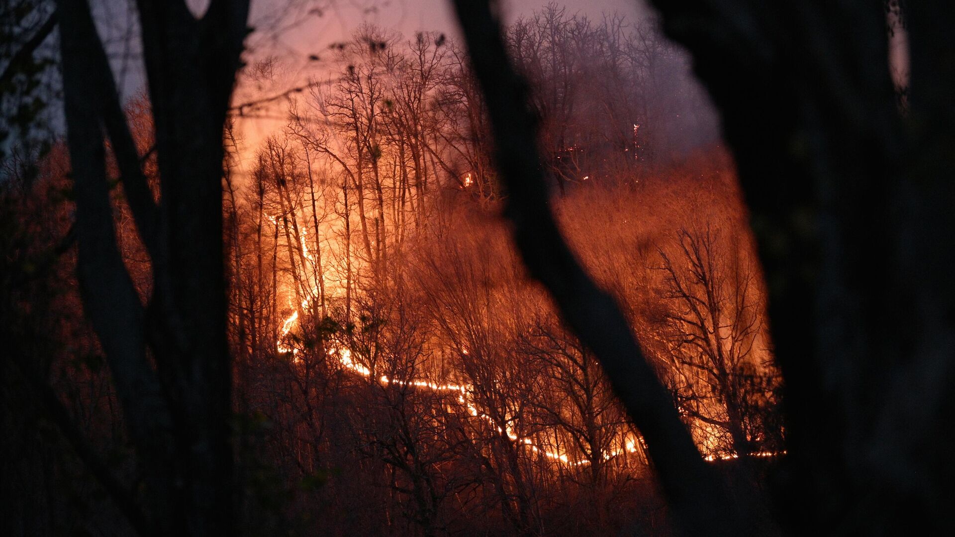 Режим ЧС ввели в районе Чукотки из-за природных пожаров