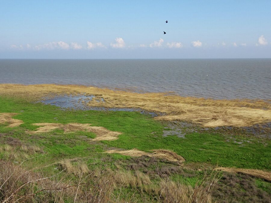 Азовское море Азовское море