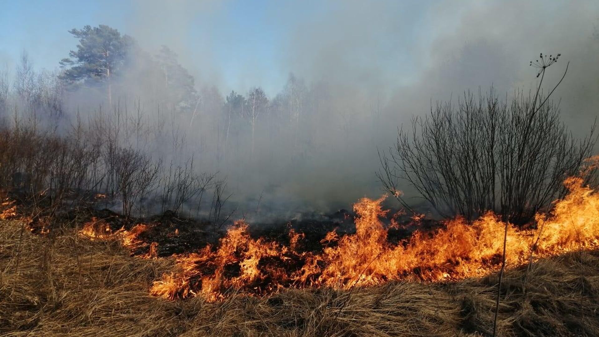 В Якутию прибудут 150 парашютистов-десантников на тушение лесных пожаров