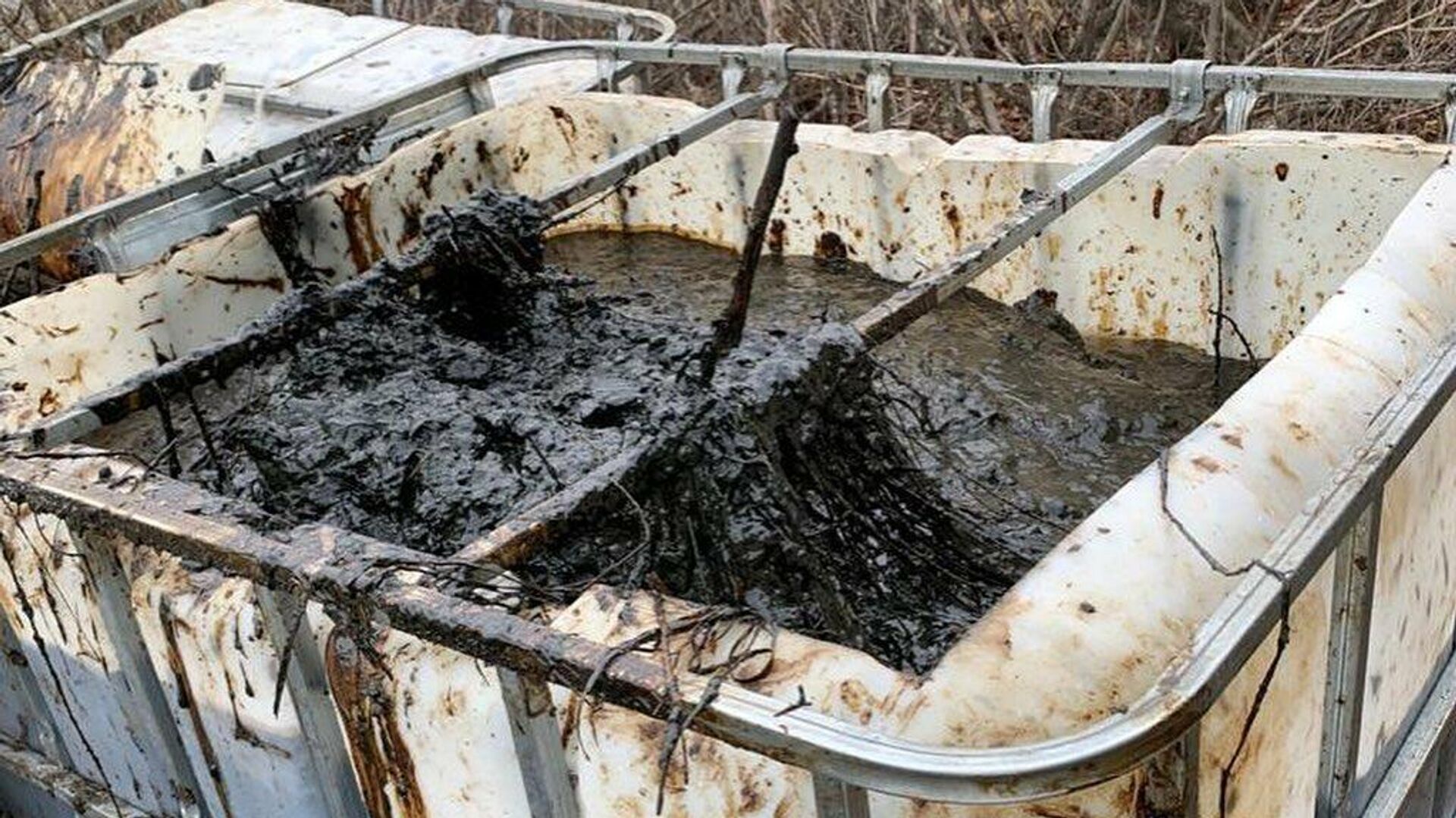 Росприроднадзор зафиксировал нефтяную пленку в Черном море у Туапсе