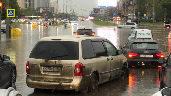 В Москве 12 деревьев упали из-за непогоды