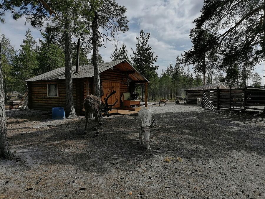 Стойбище Хантыйский дворик Стойбище Хантыйский дворик