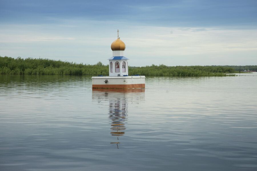 Дуб рокпайл лдсп югра фото