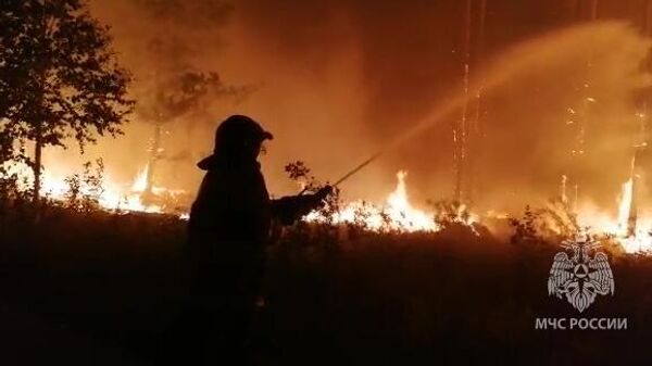 Челябинский губернатор оценил ситуацию с лесными пожарами в регионе