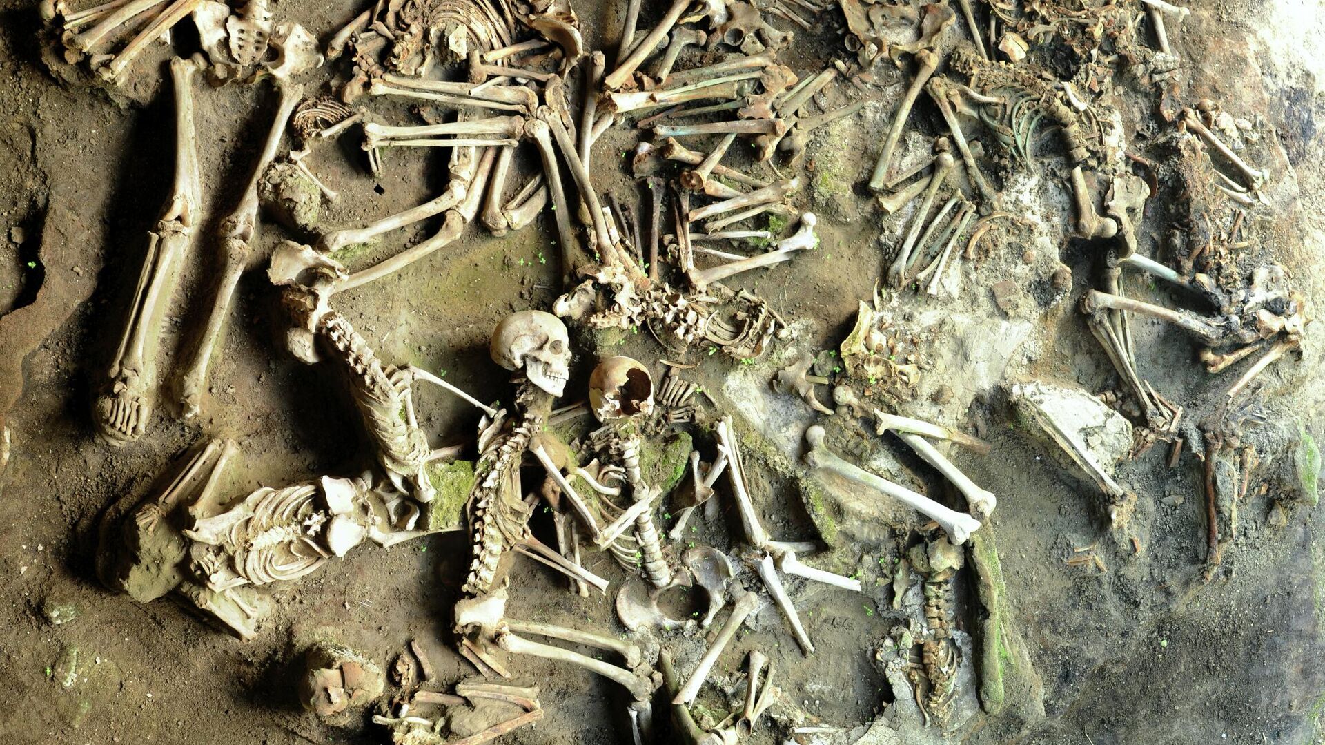 Археологи нашли в Испании крупнейший охотничий лагерь неандертальцев