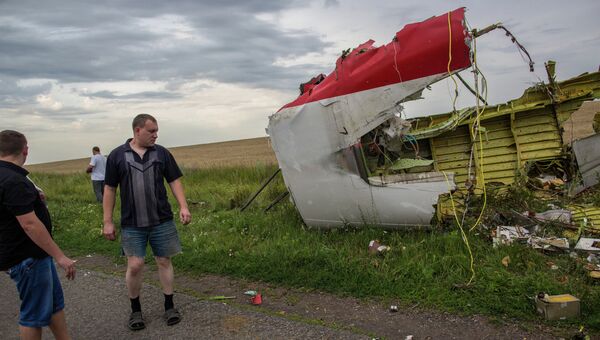 На месте крушения малазийского самолета Boeing 777 в районе города Шахтерск Донецкой области На месте крушения малазийского самолета Boeing 777 в районе города Шахтерск Донецкой области