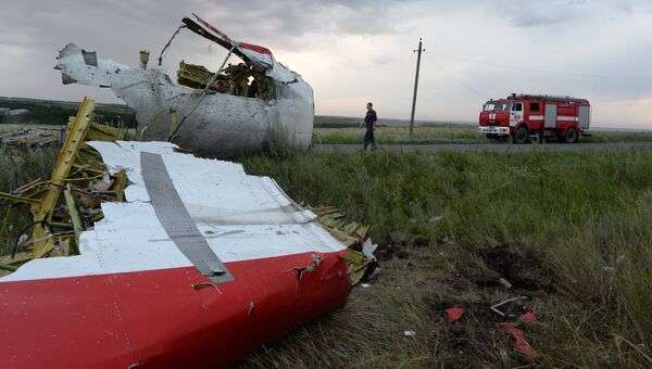 Крушение малайзийского Boeing на Украине Крушение малайзийского Boeing на Украине