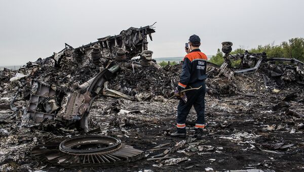 Обломки Boeing 777 компании Malaysia Airlines в районе села Грабово в Донецкой области Обломки Boeing 777 компании Malaysia Airlines в районе села Грабово в Донецкой области