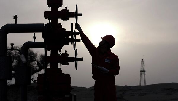 Рабочий на заводе PetroChina в Китае. Архивное фото Рабочий на заводе PetroChina в Китае. Архивное фото
