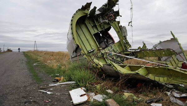 На месте крушения малайзийского самолета Boeing 777 в Донецкой области. Архивное фото На месте крушения малайзийского самолета Boeing 777 в Донецкой области. Архивное фото