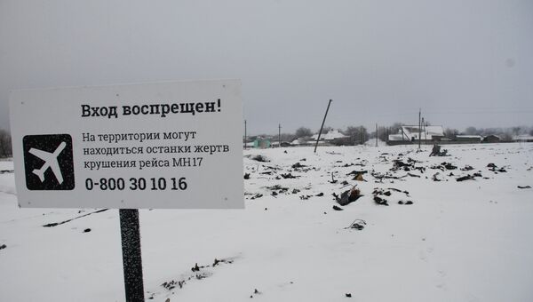 Место крушения малайзийского Boeing 777 Место крушения малайзийского Boeing 777
