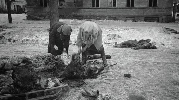Блокадный Ленинград. Женщины собирают останки убитой лошади и грузят на сани, чтобы потом использовать мясо в пищу Блокадный Ленинград. Женщины собирают останки убитой лошади и грузят на сани, чтобы потом использовать мясо в пищу