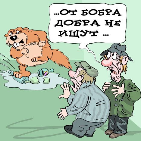 Владимир Кремлёв, РИА Новости Владимир Кремлёв, РИА Новости