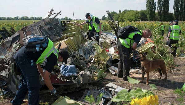 На месте крушения малайзийского самолета Boeing, выполнявшего рейс MH17 Амстердам — Куала-Лумпур. Архивное фото На месте крушения малайзийского самолета Boeing, выполнявшего рейс MH17 Амстердам — Куала-Лумпур. Архивное фото