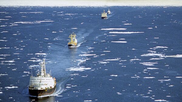Океан раздора: Северный морской путь расколол НАТО