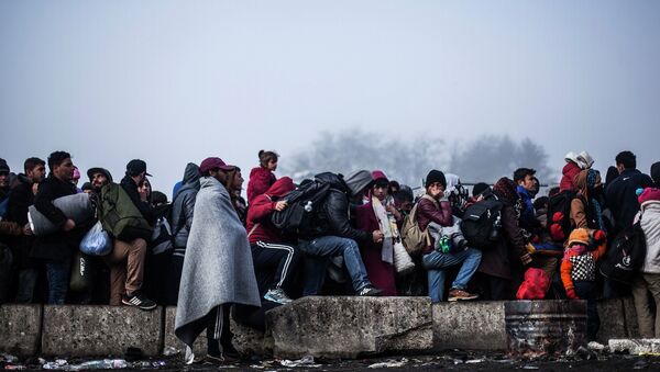 Беженцы на границе Словении и Австрии. Архивное фото Беженцы на границе Словении и Австрии. Архивное фото