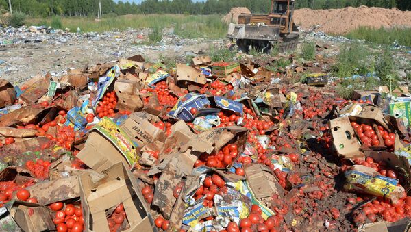 Уничтожение санкционной продукции. Архивное фото Уничтожение санкционной продукции. Архивное фото