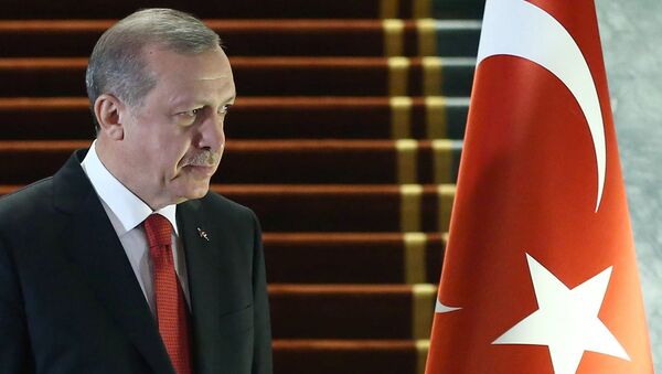 Президент Турции Реджеп Тайип Эрдоган. Архивное фото Президент Турции Реджеп Тайип Эрдоган. Архивное фото