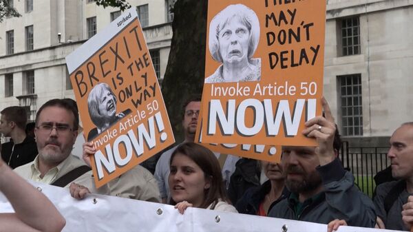 Митинги за и против Brexit в Лондоне едва не переросли в драку Митинги за и против Brexit в Лондоне едва не переросли в драку