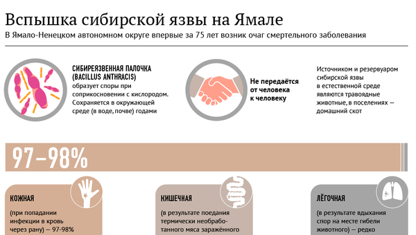 Вспышка сибирской язвы на Ямале Вспышка сибирской язвы на Ямале