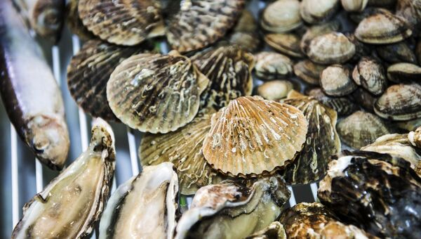 Морепродукты. Архивное фото Морепродукты. Архивное фото