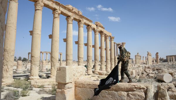 Боец отряда народного ополчения Соколы пустыни держит флаг запрещенной в РФ ИГИЛ, в исторической части Пальмиры. Архивное фото Боец отряда народного ополчения Соколы пустыни держит флаг запрещенной в РФ ИГИЛ, в исторической части Пальмиры. Архивное фото