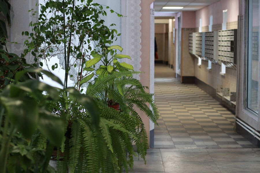 Район Северное Чертаново Район Северное Чертаново