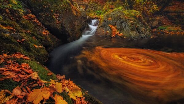 Работа фотографа из Болгарии Ivan Miladinov Old River для 2017 Sony World Photography Awards Работа фотографа из Болгарии Ivan Miladinov Old River для 2017 Sony World Photography Awards