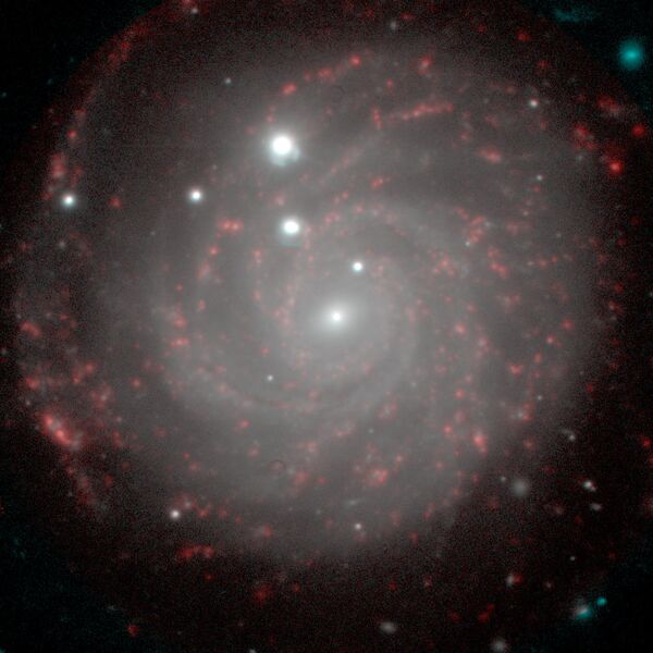 Галактика NGC 3344, видимая почти плашмя. Снимок 6-м телескопа с прибором SCORPIO Галактика NGC 3344, видимая почти плашмя. Снимок 6-м телескопа с прибором SCORPIO
