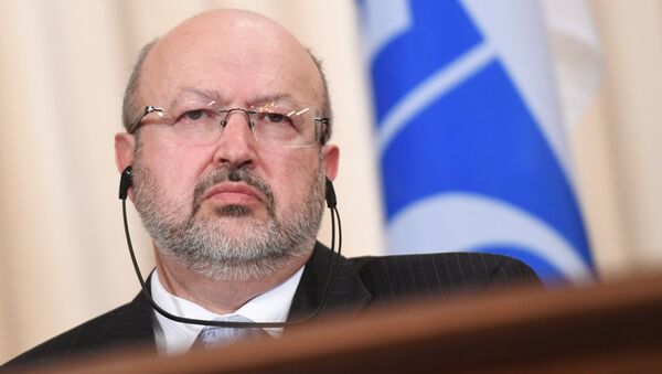 Генеральный секретарь Организации по безопасности и сотрудничеству в Европе (ОБСЕ) Ламберто Заньер Генеральный секретарь Организации по безопасности и сотрудничеству в Европе (ОБСЕ) Ламберто Заньер