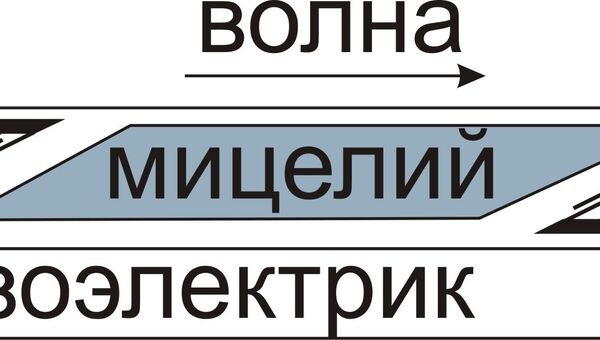 Принцип работы электроакустического датчика на основе мицелия. Принцип работы электроакустического датчика на основе мицелия.