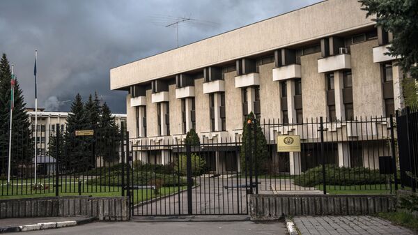 Консульская служба Болгарии начала прием документов россиян на визы