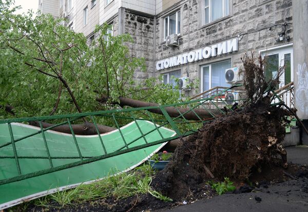 Поваленные ураганом деревья, во дворе жилого дома в Москве Поваленные ураганом деревья, во дворе жилого дома в Москве