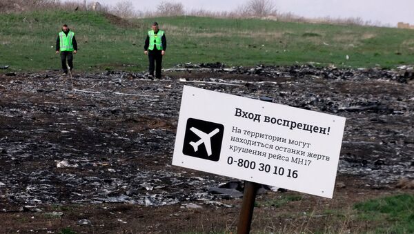 Обломки потерпевшего крушение малайзийского Boeing 777 в Донецкой области. Архивное фото Обломки потерпевшего крушение малайзийского Boeing 777 в Донецкой области. Архивное фото