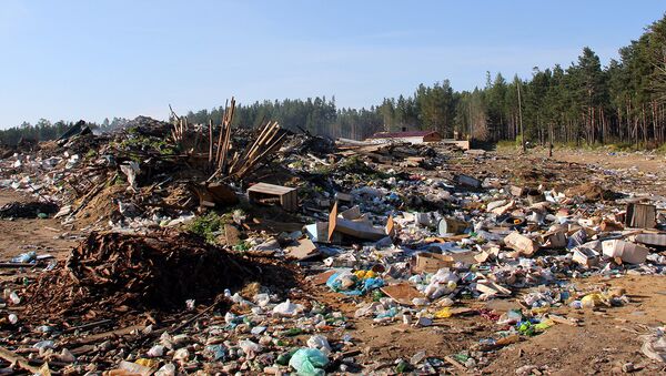 ОНФ требует ликвидировать незаконную свалку в Подмосковье ОНФ требует ликвидировать незаконную свалку в Подмосковье