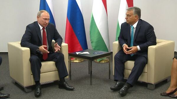 Будем помогать – Путин об интересе венгерских бизнесменов к работе в РФ Будем помогать – Путин об интересе венгерских бизнесменов к работе в РФ