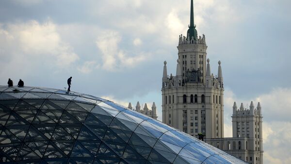 Стеклянная кора в природно-ландшафтном парке Зарядье в Москве Стеклянная кора в природно-ландшафтном парке Зарядье в Москве