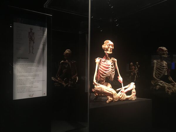 Открытие выставки Body Worlds в Женеве Открытие выставки Body Worlds в Женеве